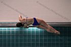 Women's Diving  Wheaton College Women’s Diving vs Mount Holyoke College. - Photo by Keith Nordstrom : Wheaton, Swimming & Diving